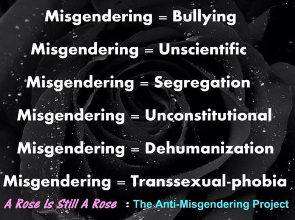 Misgendering poster